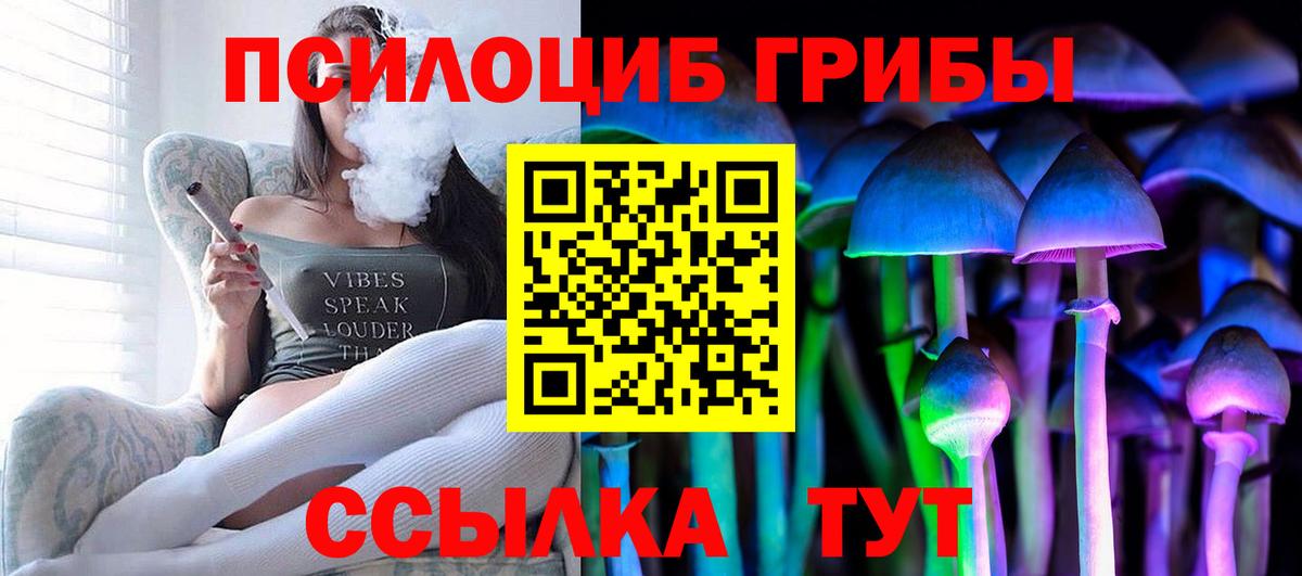 Псилоцибиновые грибы мицелий  Вход с VPN  Шали  Псилоцибиновые грибы мицелий 